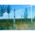 China Best Selling High Quality Barbed Wire